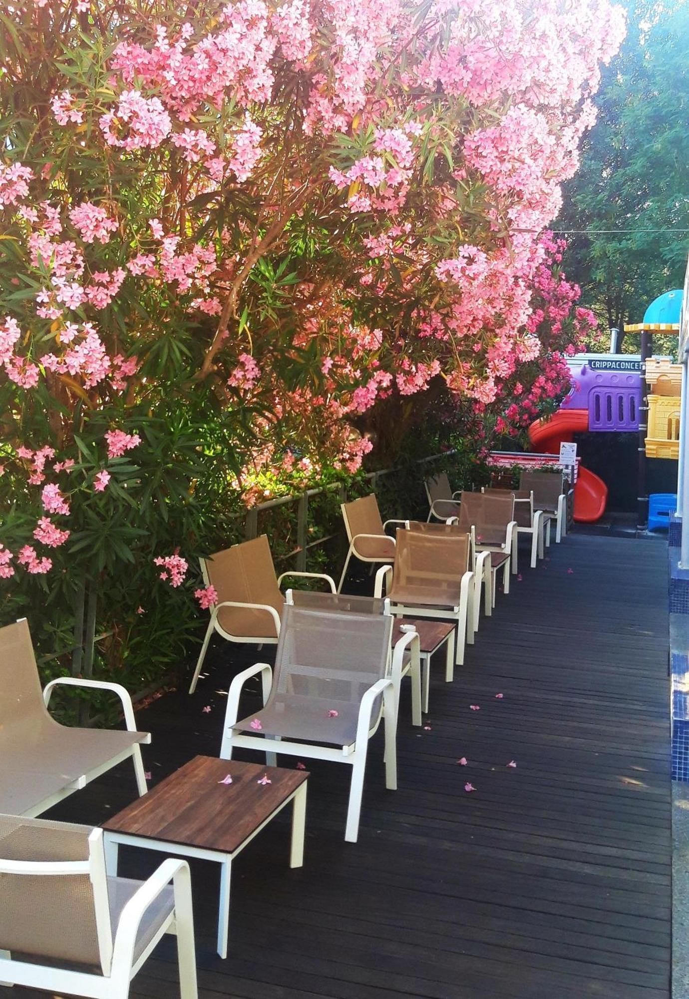 רימיני Hotel Felix מראה חיצוני תמונה